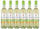 Winzerkeller Hex vom Dasenstein Frühlings- und Sommerweinlinie Blanc de Noir QW trocken (6 x 0,75L)